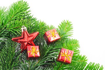 Image showing green fir for christmas