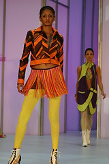 Image showing Fashion Show