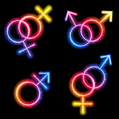 Image showing Male, Female and Transgender Gender Symbols Laser Neon