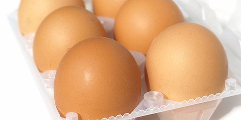 Image showing Eggs