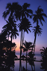 Image showing Landscape on the beach