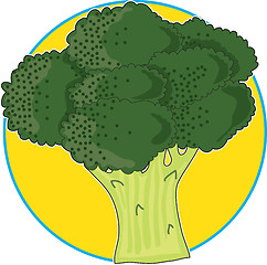 Image showing Broccoli Graphic