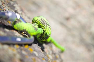 Image showing climbers carabiner