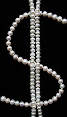 Image showing White pearls on the black velvet 