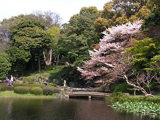 Image showing East Garden, Tokyo