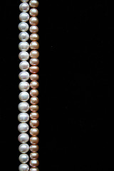 Image showing White and pink pearls on the black background