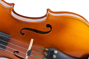 Image showing Violin close up 