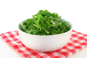 Image showing Arugula