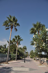 Image showing Beach sidewalk