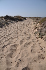 Image showing Beach walkway