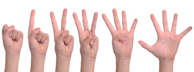 Image showing Woman hands counting