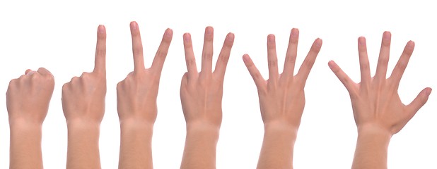 Image showing Woman hands counting