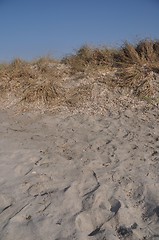 Image showing Sand dune