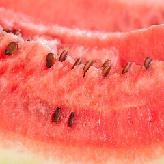 Image showing Watermelon background