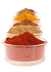 Image showing Indian spices