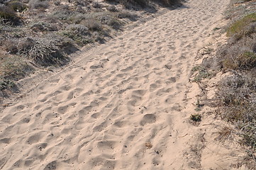 Image showing Beach walkway