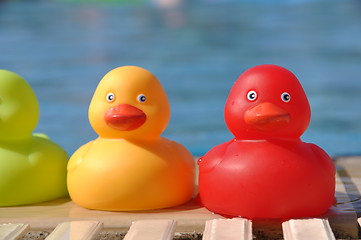 Image showing Rubber ducks