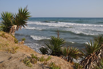 Image showing Marbella beach