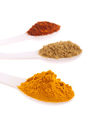 Image showing Indian spices in spoons