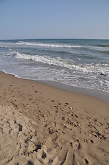 Image showing Marbella beach