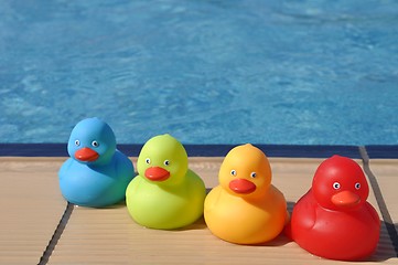 Image showing Rubber ducks