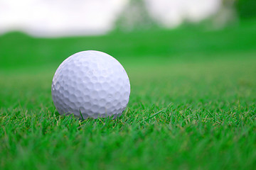 Image showing golfball