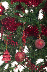 Image showing Christmas tree background