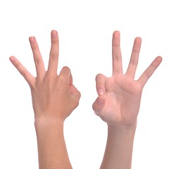 Image showing Hand sign OK