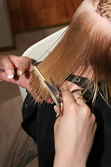 Image showing combing wet hair