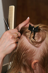 Image showing Cutting hair