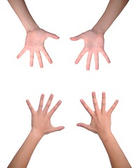 Image showing Woman hands