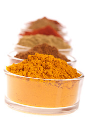 Image showing Indian spices