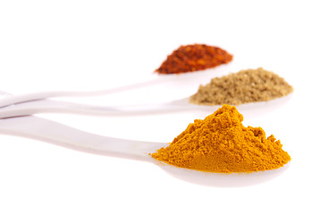 Image showing Indian spices in spoons