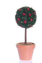 Image showing Fake tree