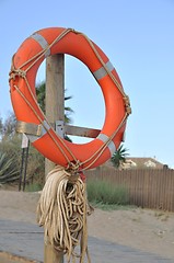 Image showing Lifebuoy