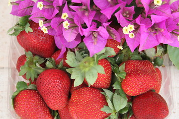 Image showing Strawberries and bougainvillea