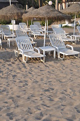 Image showing Beach chairs and umbrellas