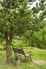 Image showing botanical garden bench