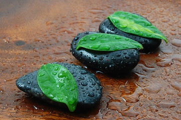 Image showing zen concept with stones and leaves