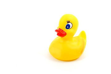 Image showing toy rubber duck 