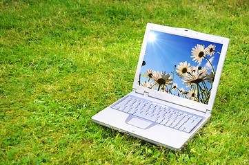 Image showing flowers and laptop