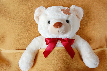 Image showing sick teddy bear