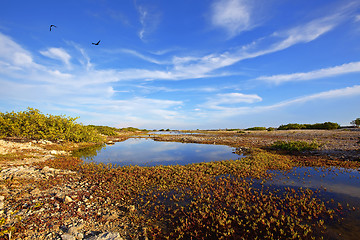 Image showing Bonaire Saltlake