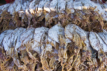 Image showing Dried fish