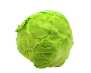 Image showing Cabbage