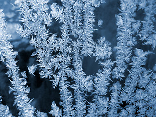 Image showing blue frosty natural pattern