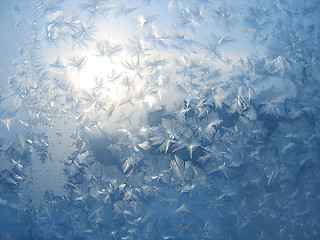 Image showing frost and sun 