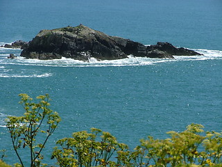 Image showing shore03