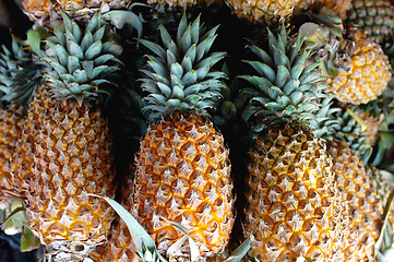 Image showing Pineapples