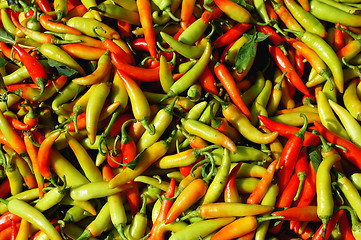 Image showing Peppers